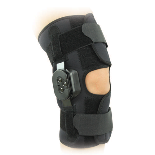 Immobilizer knee